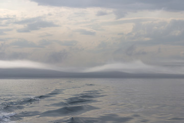 Whale watching in Tadoussac