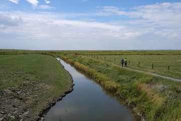 Wanderer im Deichvorland an der Nordsee im Weltnaturerbe Nationalpark Wattenmeer im hei&szlig;en Sommer 2018 - Stockfoto