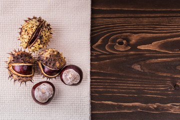 chestnuts in the shell on the surface