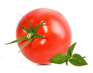 tomato and basil isolated on white background