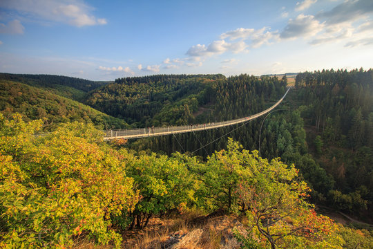 Fototapeta Hängeseilbrücke Geierlay im Hunsrück
