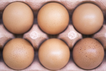 Eggs in the tray. View from above close up