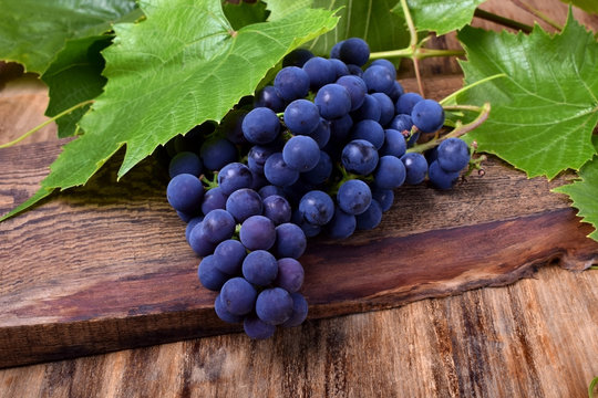 Bunch of blue Isabella grapes on a wooden board