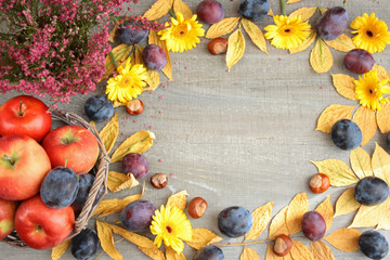 Naklejka na ściany i meble Jesienne tło, obramowanie z liści, jabłek, śliwek, wrzosu, kasztanów, liści i żółtych kwiatów