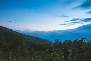 Morning fog settles between a valley in Shenandoah National Park, VA as the sunrises.