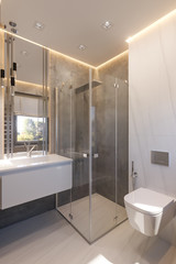 3d render interior design of the bathroom with glass walk in shower