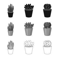 Isolated object of cactus and pot sign. Set of cactus and cacti vector icon for stock.