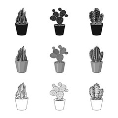 Vector design of cactus and pot symbol. Set of cactus and cacti stock vector illustration.