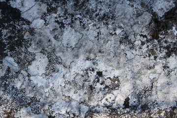 Stone