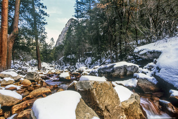 Yosemite National Park