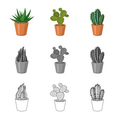 Vector illustration of cactus and pot logo. Set of cactus and cacti vector icon for stock.