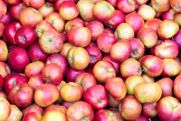 red ripe fall apples background in wooden boxes at street market
