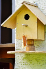 Bird feeder hanging from wall with piece of lard