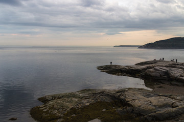 Whale watching in Tadoussac
