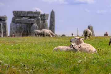 Asleep with mum in the sun. 
