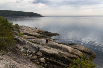Whale watching in Tadoussac