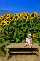 Native American Baby Girl in Sunflower Patch Field 