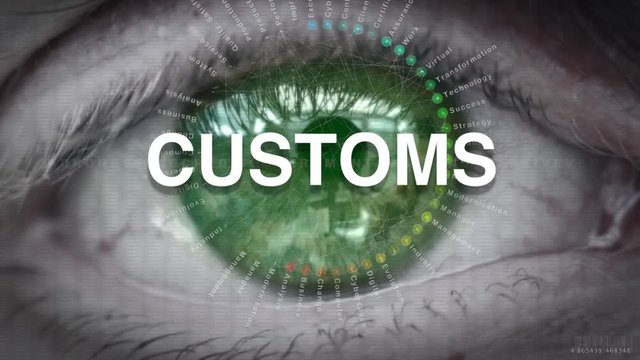 Close up of an eye focusing on Customs concept on a futuristic screen.