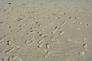 Viele Fussspuren im Sand am feuchten Strand