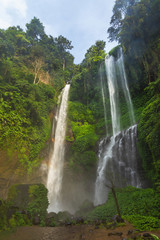 Beautiful and powerful Sekumpul waterfall