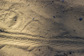 Texture Sand, imprint of a wheel on the sand.