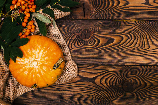 Top view of Autumn mini-pumpkins and ashberry on a wooden background- autumn composition