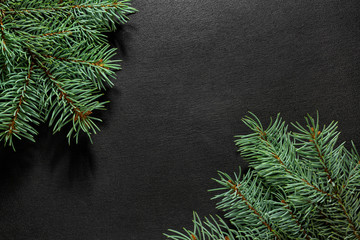 Spruce branches on a dark vintage wooden background