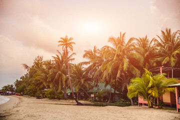 Fototapeta premium Beautiful tropical beach with palm trees. Daylight