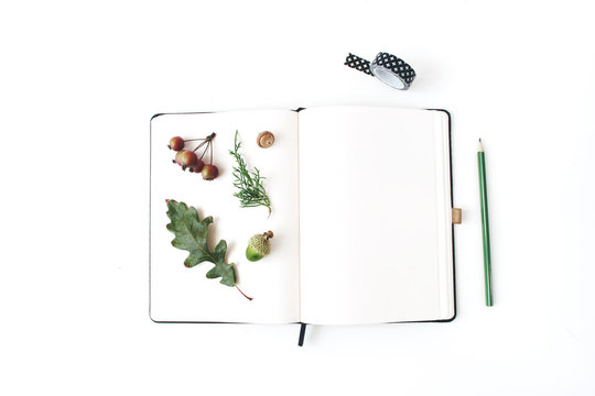 Autumn desktop stationery mock-up scene. Blank notebook with pencil, black washi tape, oak leaf, acorn and little apples on white table background. Flat lay, top view. Botanical herbarium design.