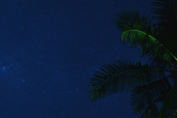 Scenic night sky with a lot of stars and palm tree