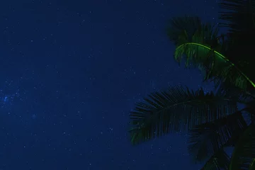 Foto op Plexiglas Scenic night sky with a lot of stars and palm tree © blackday