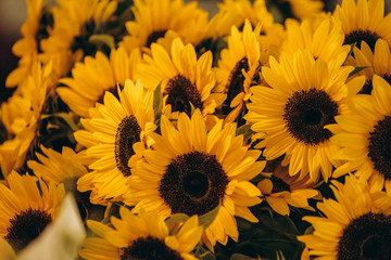 Sunflowers arrangement