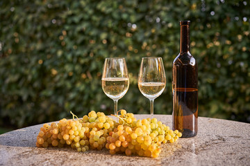 Bottle of white vine with two full vine glasses and fresh juicy and sweet grapes on the stone table in the garden restaurant, time of harvesting of grapes in autumn.