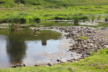 Stone ridge shallow on a small river in the summer against the green banks
