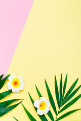 Tropical composition background