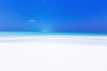 Beautiful Maldives nature