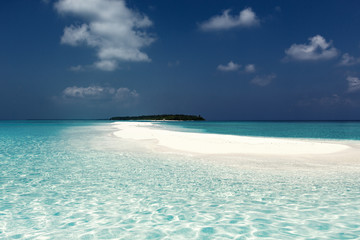 Maldivian sandbank in Indian ocean