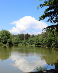  Lake surrounded by forest
