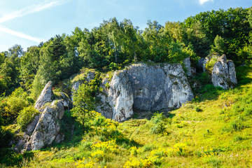 Summer landscape in Bedkowska Valley in Poland