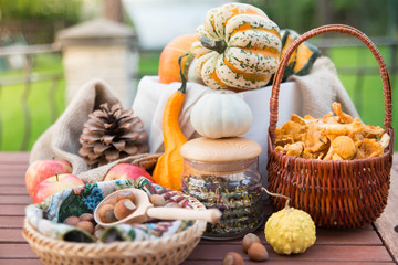 A basket with autumn chanterelles -mchanterelles in september on the table with different decorations © elinque