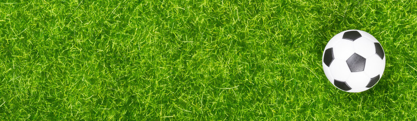 Obraz premium Soccer ball on green grass