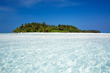 Wild Maldives island with sandy beach