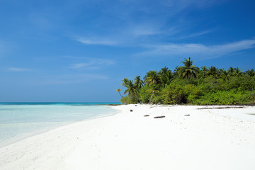 Wild Maldives island with sandy beach