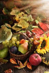 wicker basket full of autumn fruits