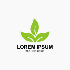 Leaf Logo Vector Template Design Illustration