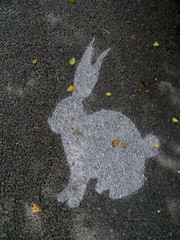 Hase auf Asphalt