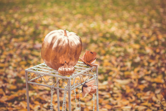 Golden pumpkin as decoration on the green and yellow leaves