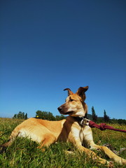 Processed with VSCO with  preset