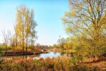 Urban Lagoon and Nature Preserve. Chicago, USA. Landscape.