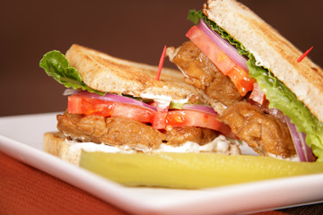 Vegan & Vegetarian Food - Sauteed Seitan Sandwich